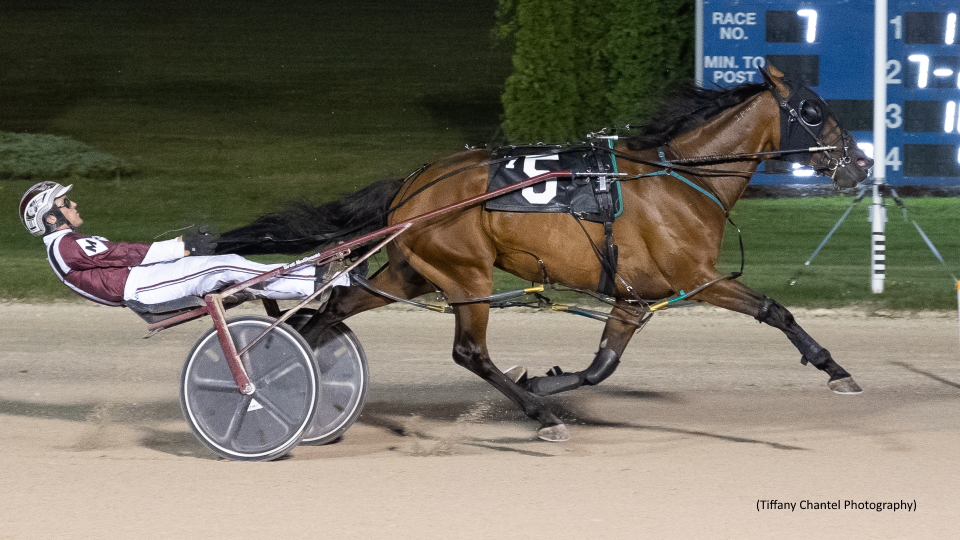 Favourites Sweep Grand River Preferreds