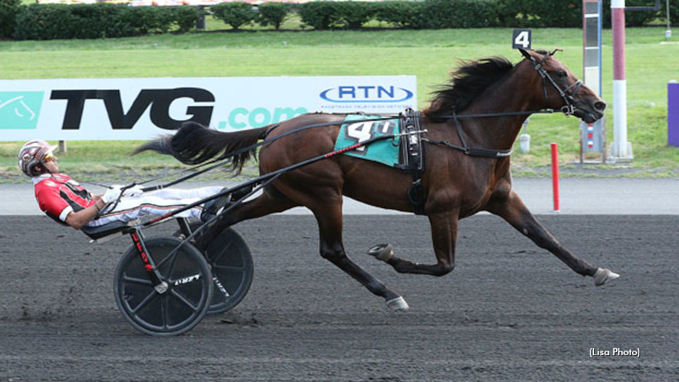 Alrajah One IT Set For Return In Maple Leaf Trot