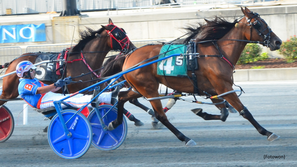 Harrington Opens To Anneke, Movin On Up