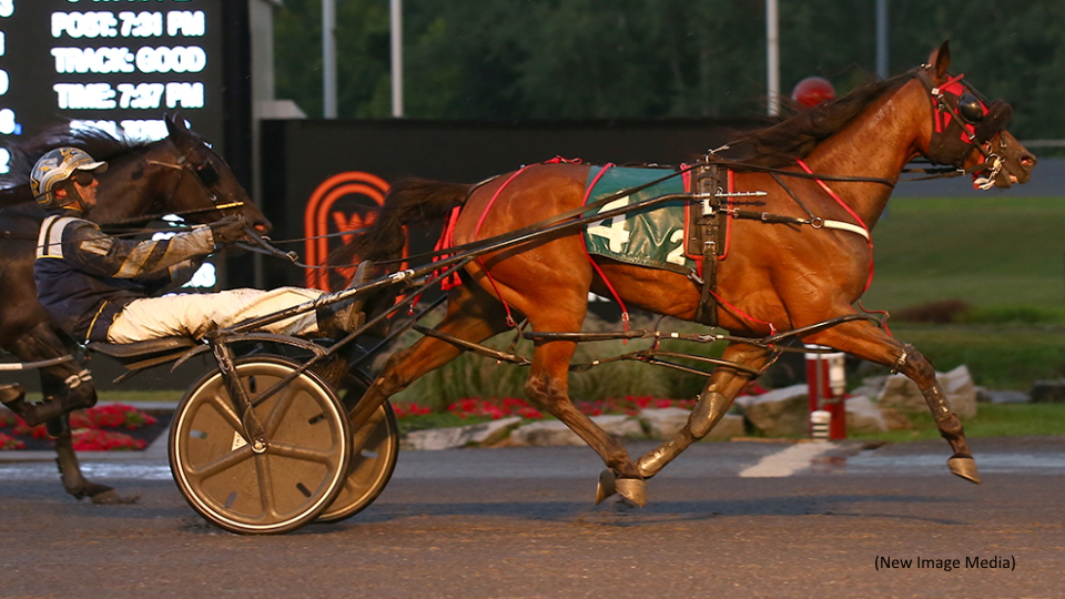 Pop Up Series Wrap Up At Mohawk Park