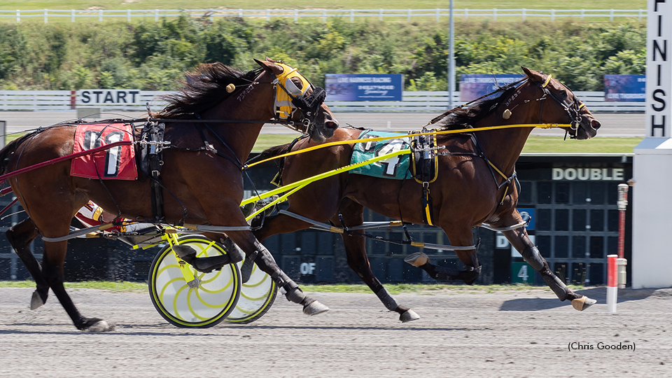 Blue Ivy Sharp In Meadows Open Win