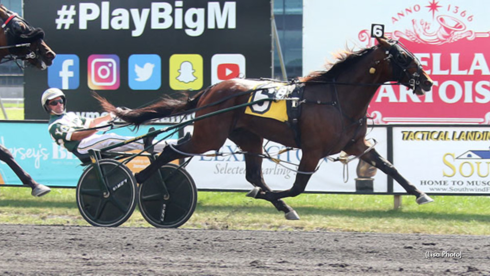 More Meadowlands Glory For Beach Glass