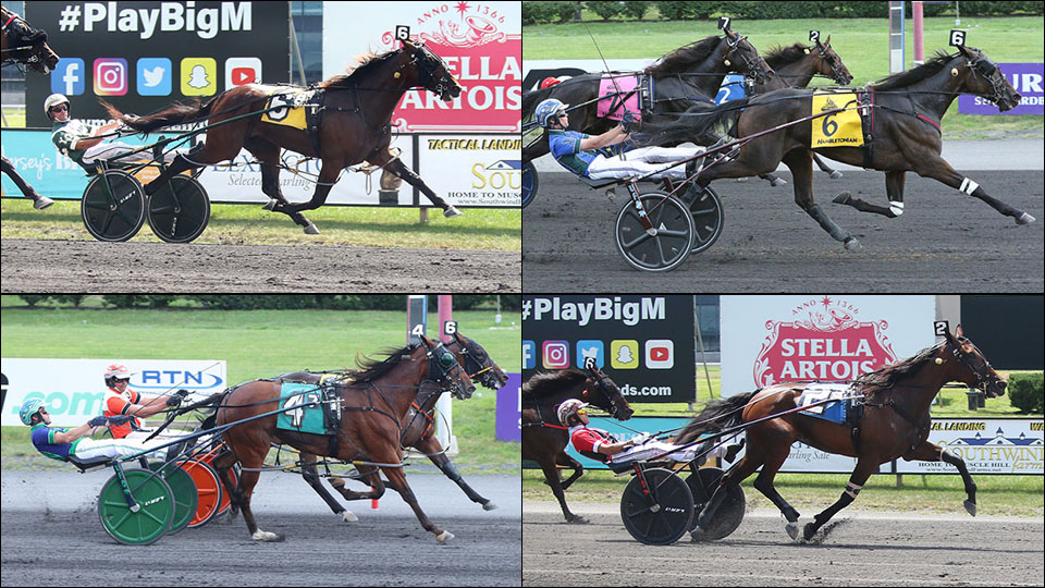 Stage Set For Sun Stakes Saturday