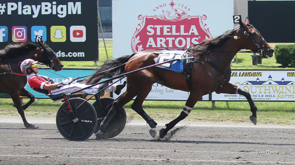 Bella Bellini Brilliant In Steele Memorial