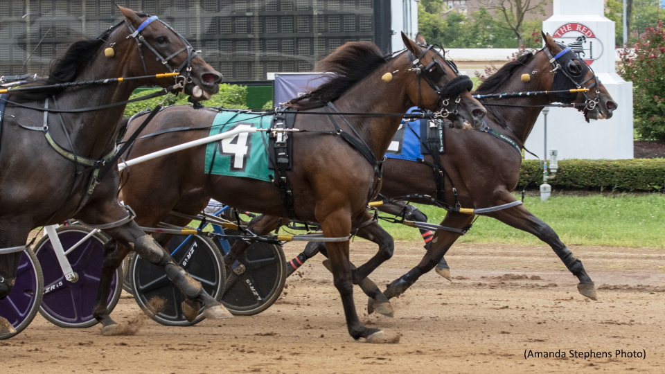 Boudoir Hanover Impresses At The Red Mile