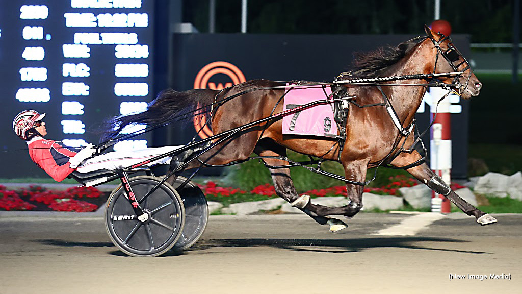 Bulldog Hanover, Jimmy Freight Win Pacing Derby Elims