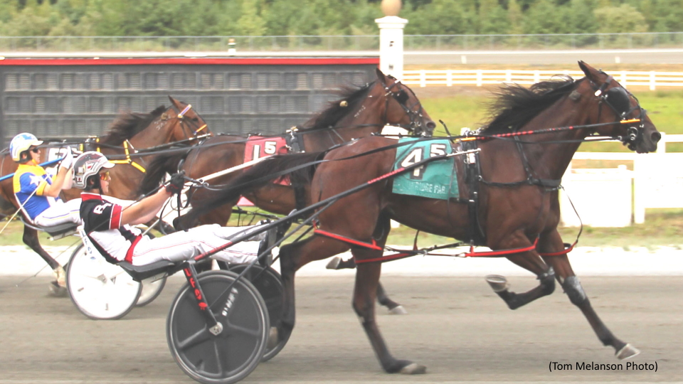 Classicist Ties Plainridge Track Record In Open