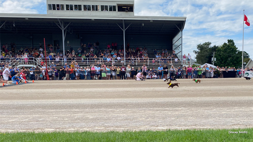 Crowds Pack Into Clinton For Harness The Hope Day
