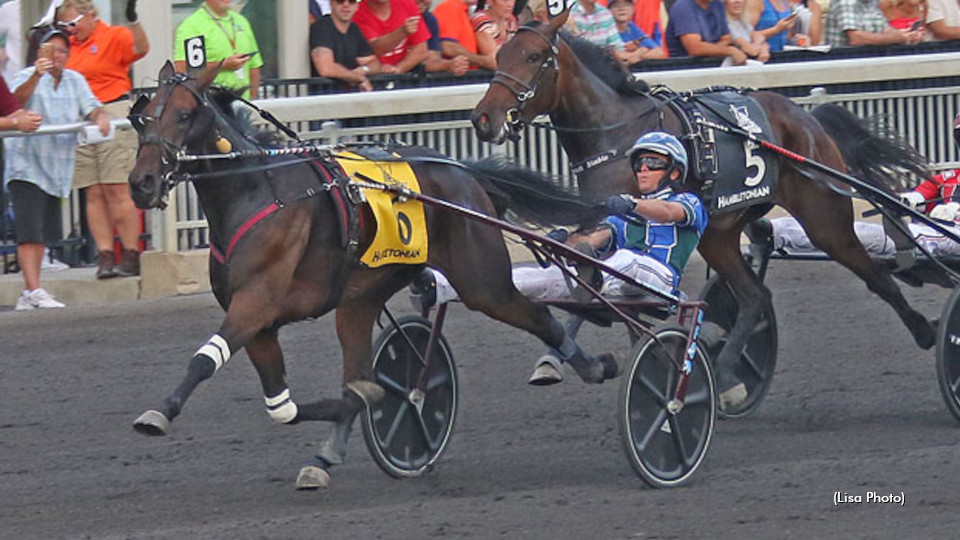 Stars Come Out In Meadowlands Qualifiers