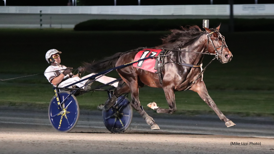 Favourites Dominate In New York Sire Stakes