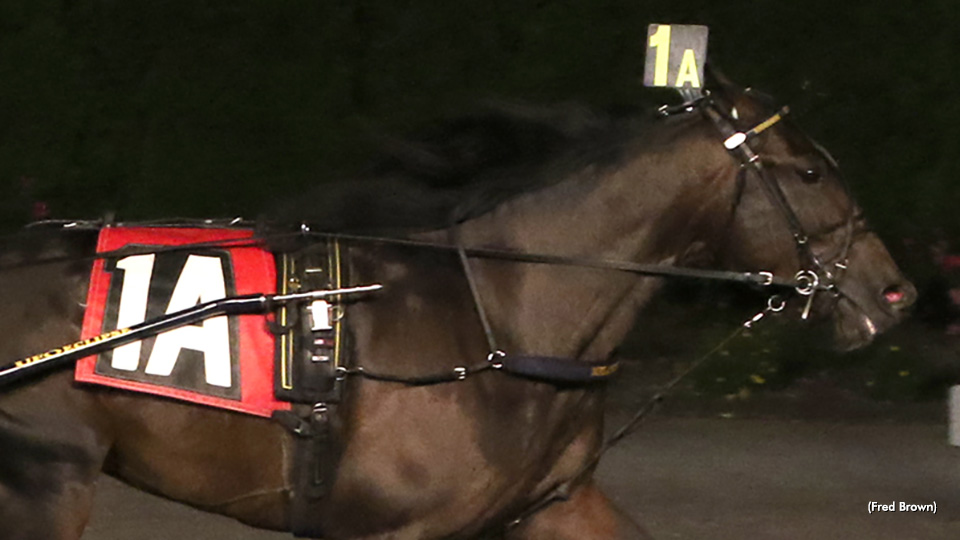 Crown, Tillios Action Win NYSS