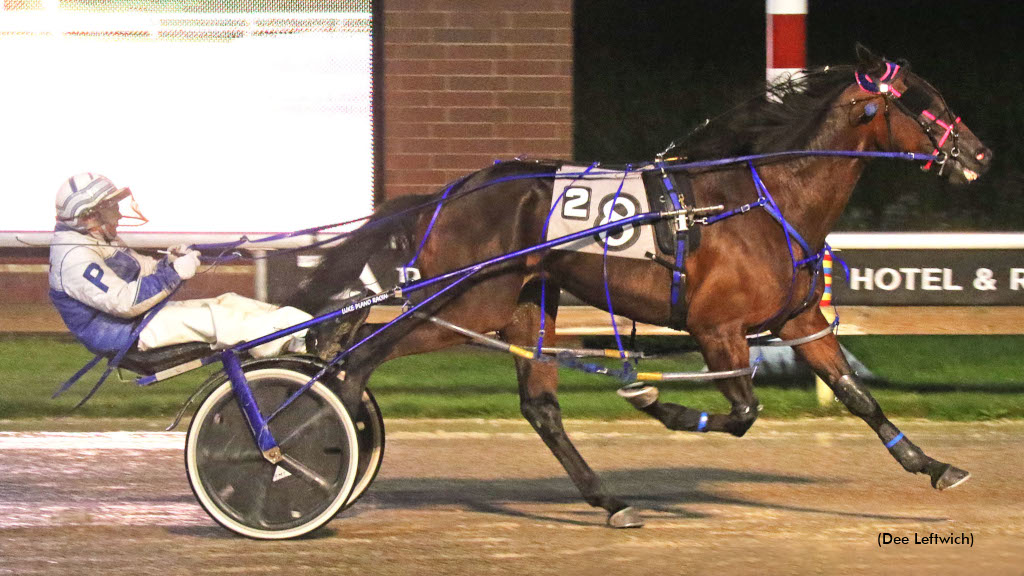 Stellar Meet For Plano At Running Aces