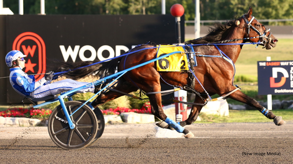 Sophomores Spar In Grassroots At Mohawk Park