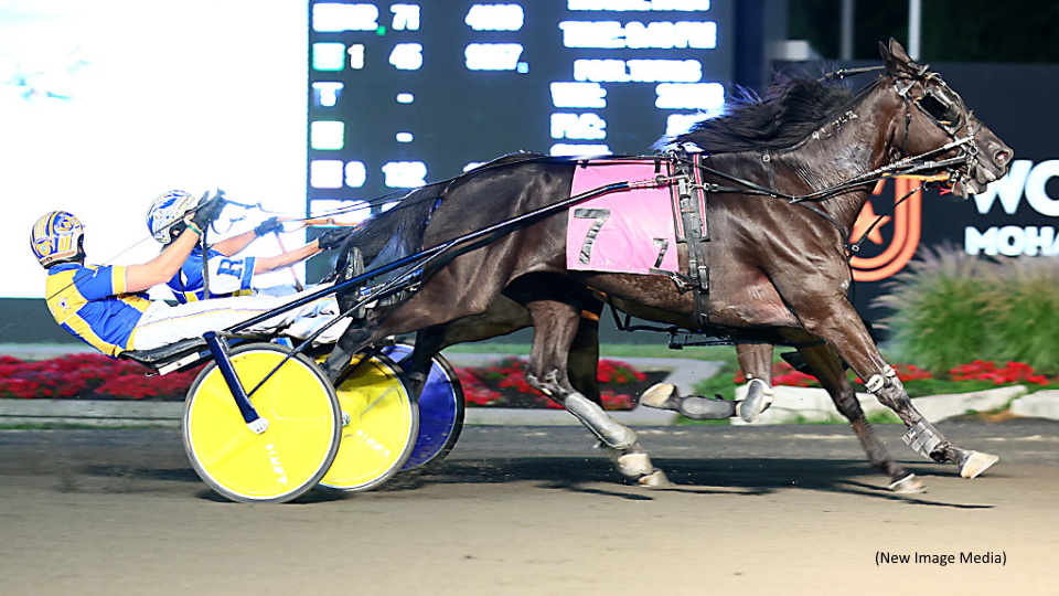 Auciello Triples Up At Mohawk Park