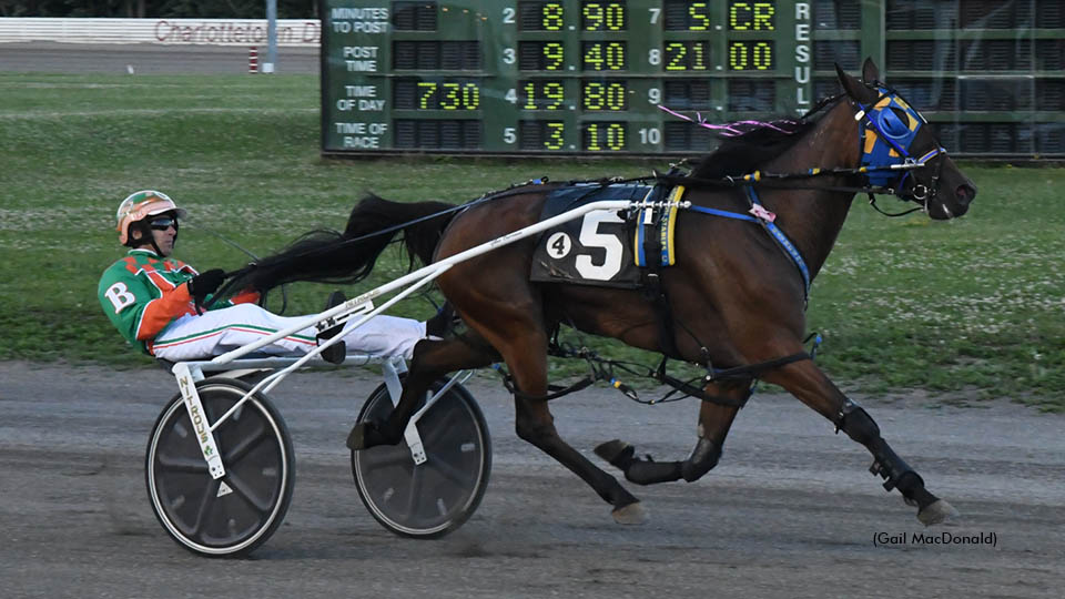 NDC Contender: Gilles Barrieau