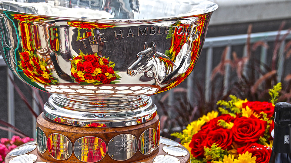 Who Do You Think Will Win The Hambo?
