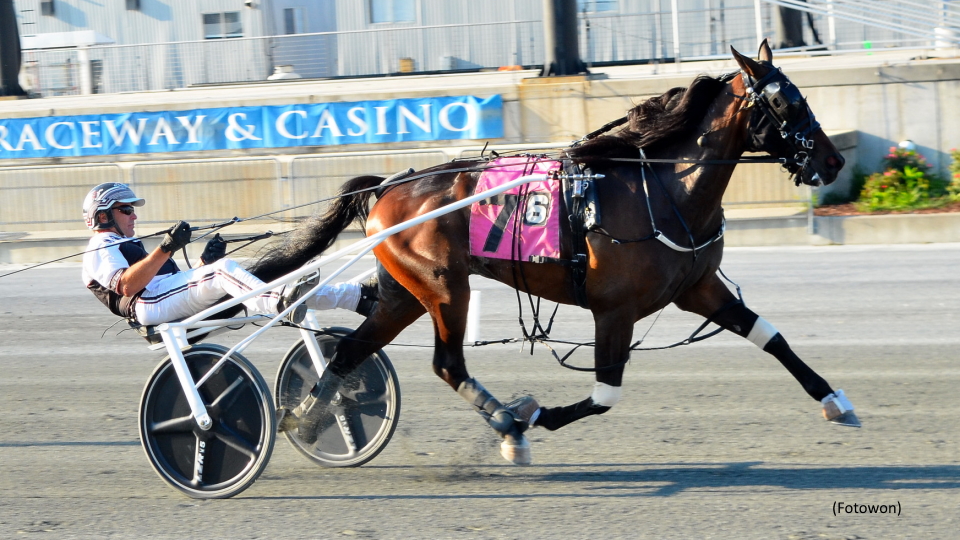 Hatikvah Strikes In Harrington Open Trot