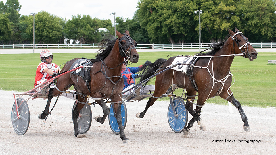 Hollys Treasure Takes Leamington Preferred