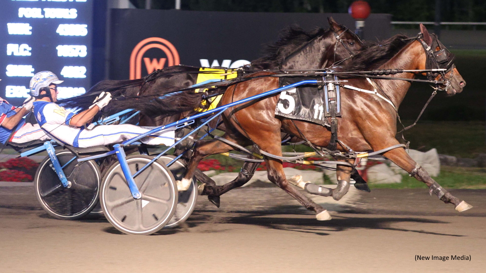 PEO Mixed Sale Grosses $499,250