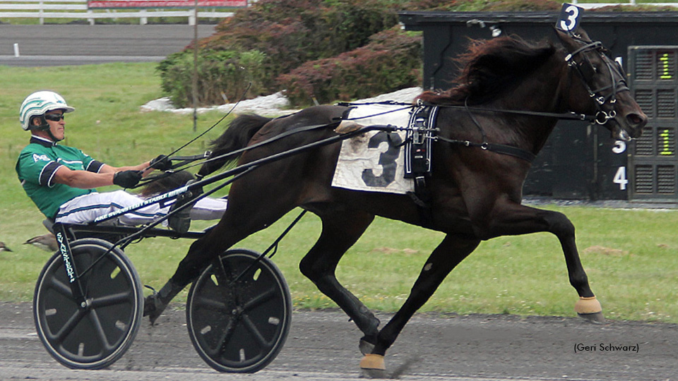 Rookie Trotters Face Off In NYSS