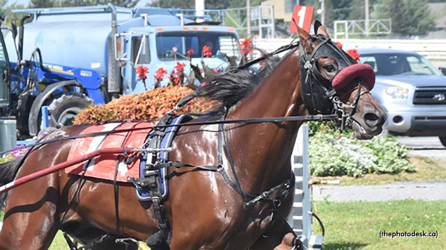 Little Diamond Impresses In Future Stars