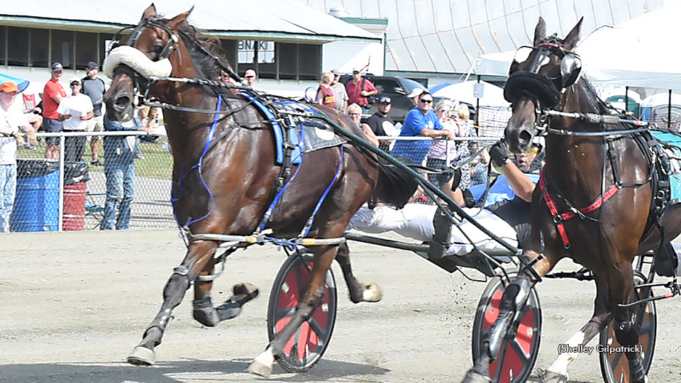 Maine Freshmen Frolic At Windsor Fair