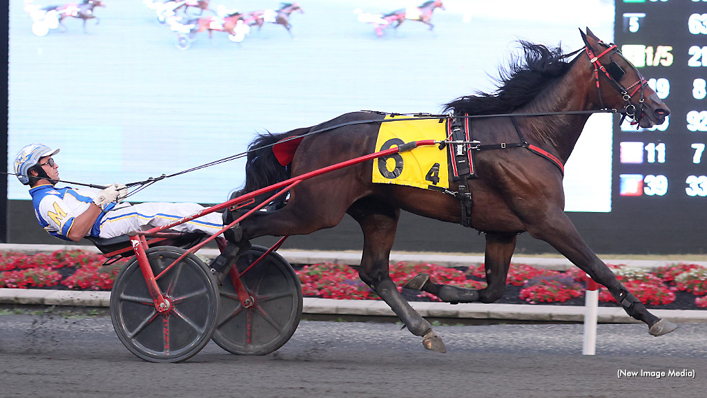 Lukes Bar Best In Millard Farms