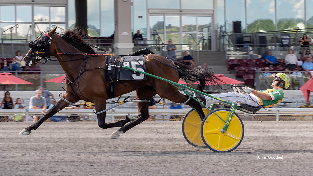 Mad Max Hanover, Night Hawk Best In PASS