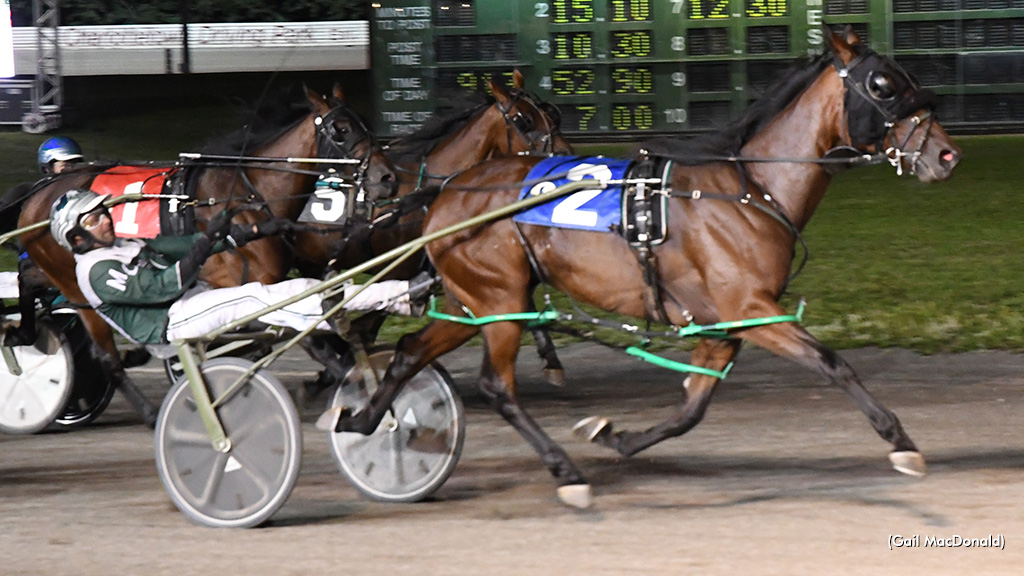Red Shores Handful For Campbell