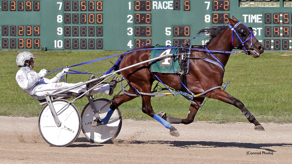 Millies Rockin Rolls In Buckeye Stallion Series