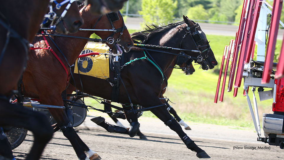 Blais Trainees Complete Mohawk Qualifiers