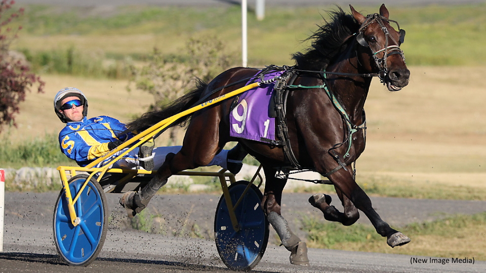 Grassroots Mania On Tap At Mohawk Park