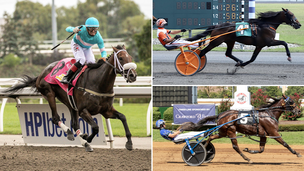 Plouffe's Performers Prominent In Two Breeds