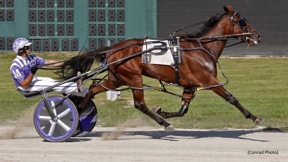 Prancing Queen Blazes Buckeye Stallion Series