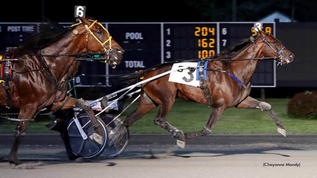 Quadratic Bluechip Has The Winning Formula