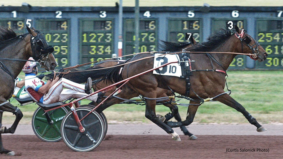 Freshman Fillies Top PEO Sale