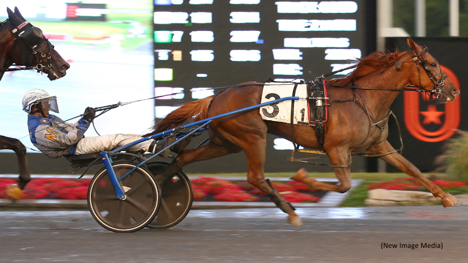 Faves Foiled In Grassroots; No Contest Declared