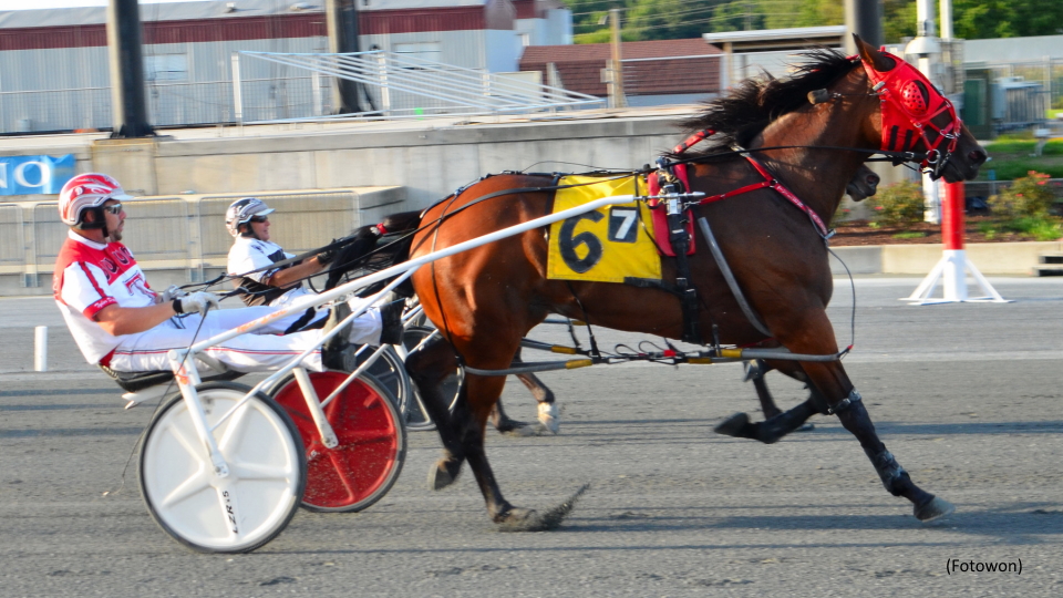 Rock N Shard Scores In Harrington Open