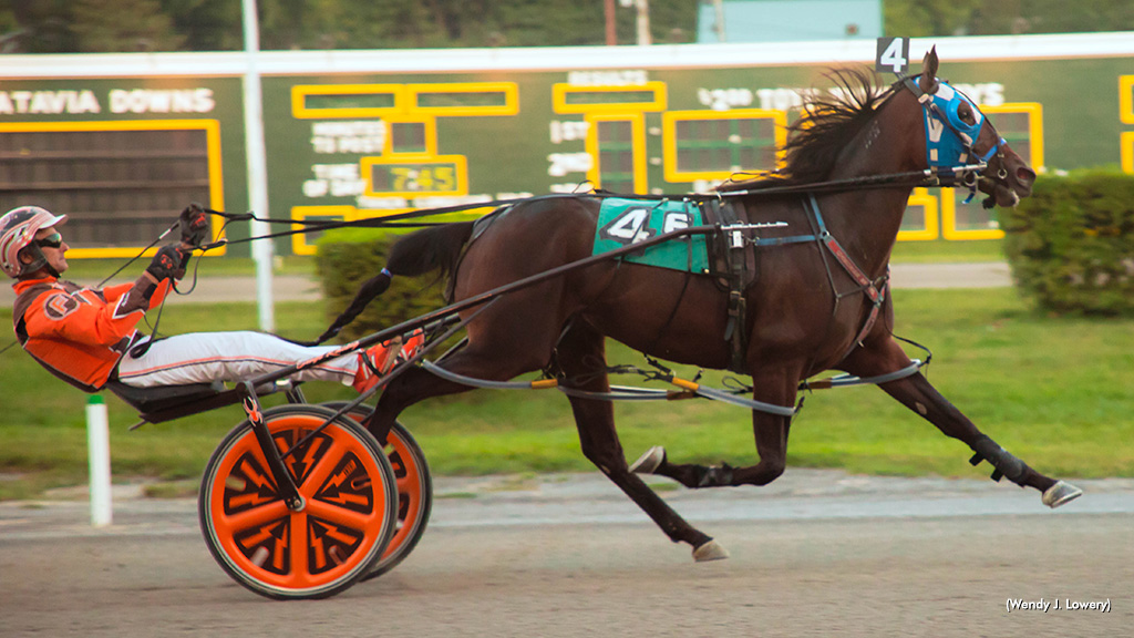 Shallow Sharp At Batavia