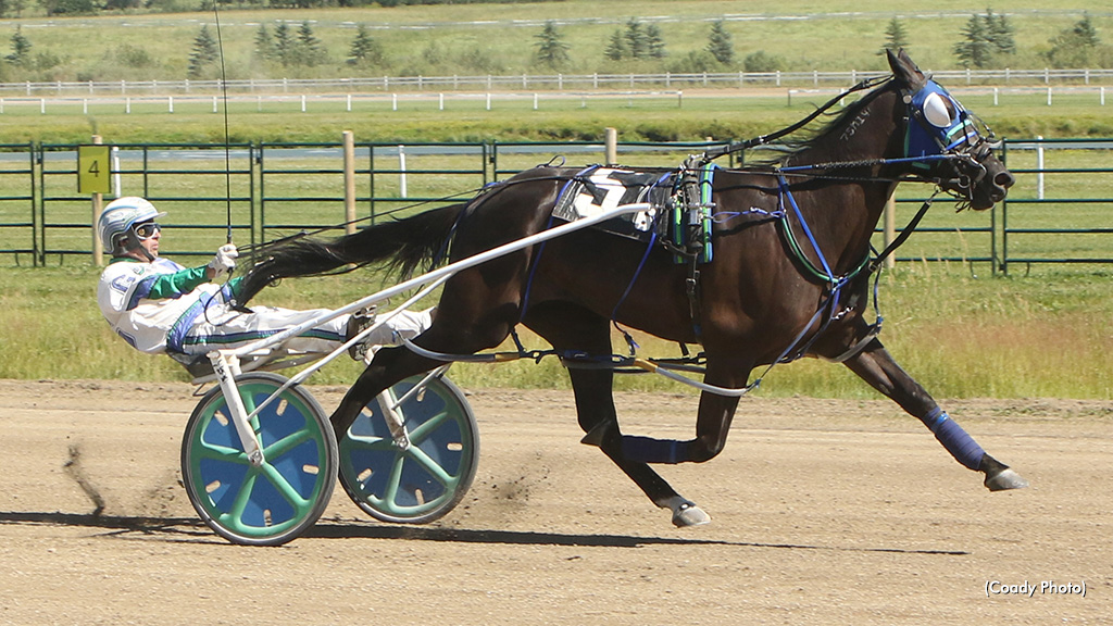 Shir Gain Lowers Track On 2 Record