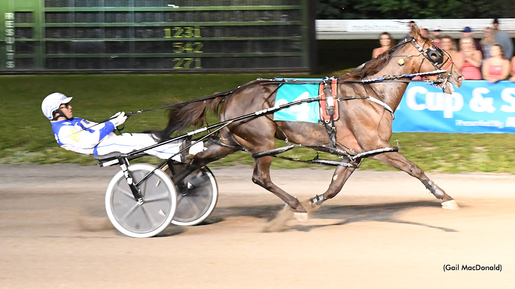 Sintra Scintillating In Gold Cup Trial