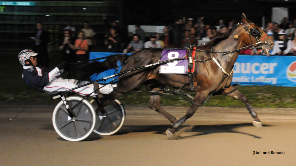 Sintra Sizzles In Gold Cup And Saucer 63