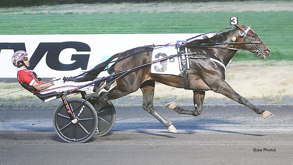 Slay, Molotov Cocktail Set For NYSS Showdown
