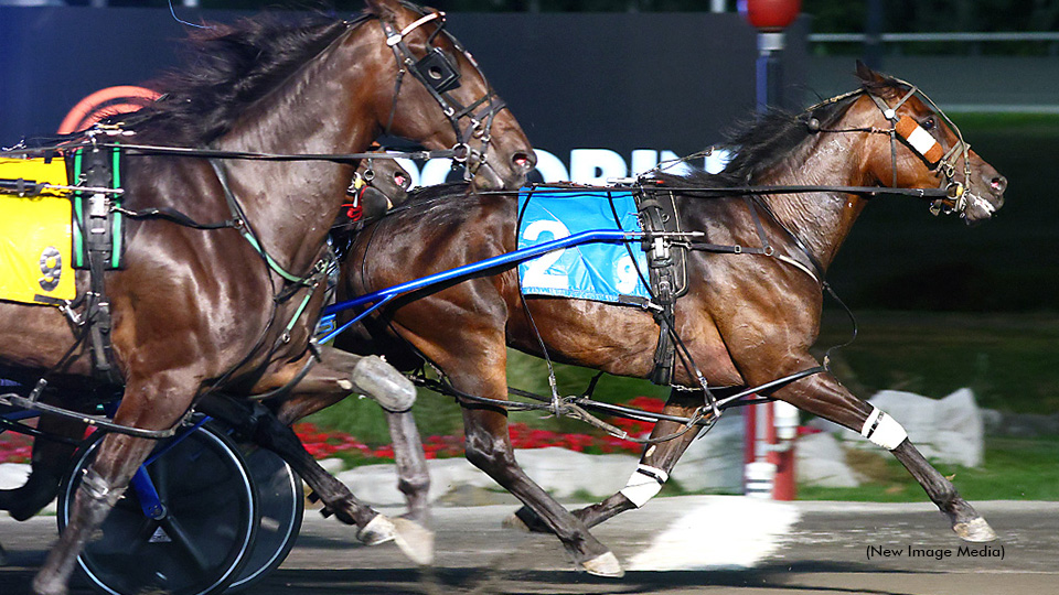 Another Milestone For So Much More