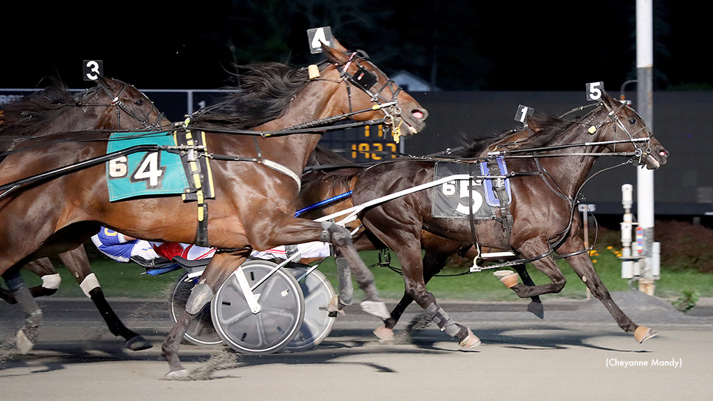 Southeaster Wins Saratoga Open Trot