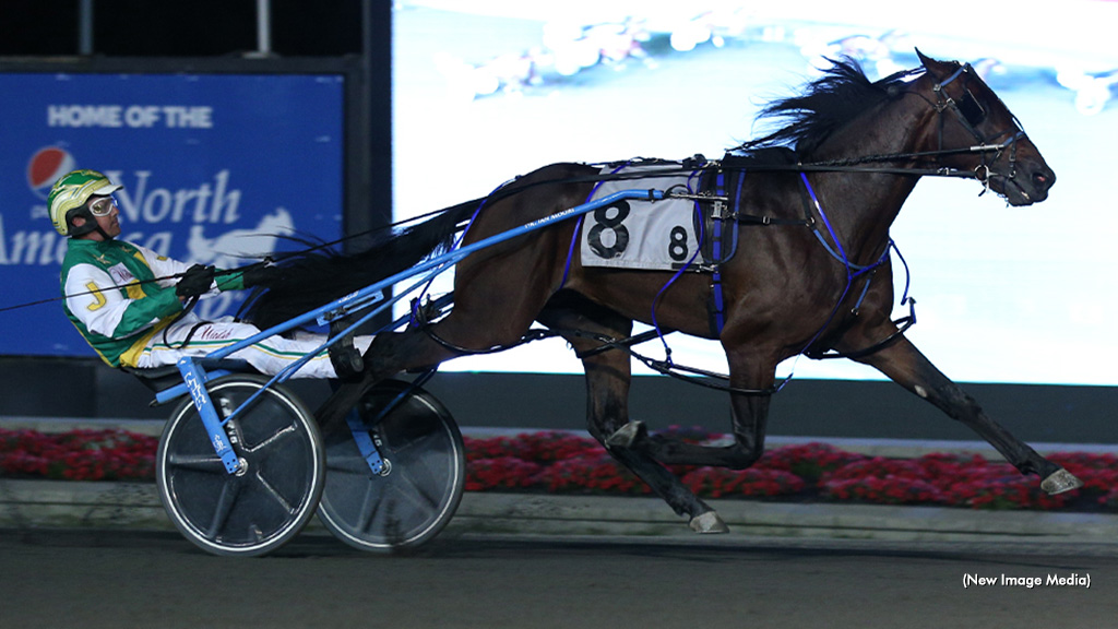Stockade Seelster Swift In Dream Maker Final