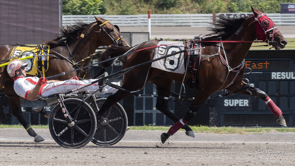 Surreal Ideal Upsets At The Meadows