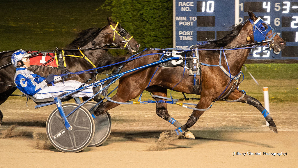 Team Cullen Dominates In Elora