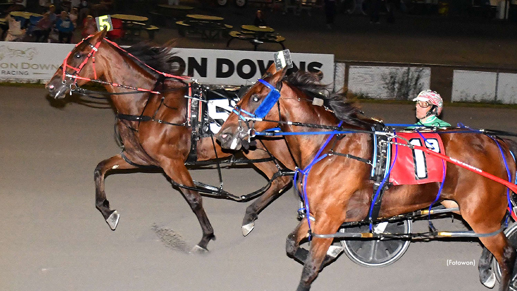 Vivians Dream Sets Vernon Track Record