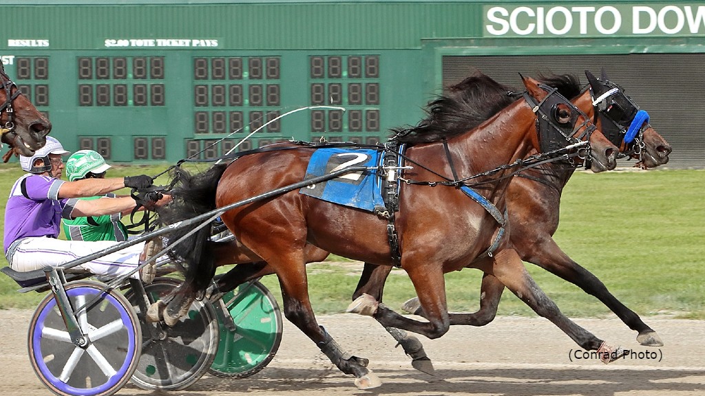 Colt Trotters Dead Heat in Ohio State Fair Stakes